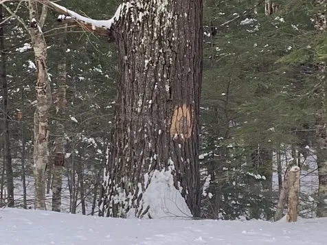 00 Lost River Road Woodstock NH 03262