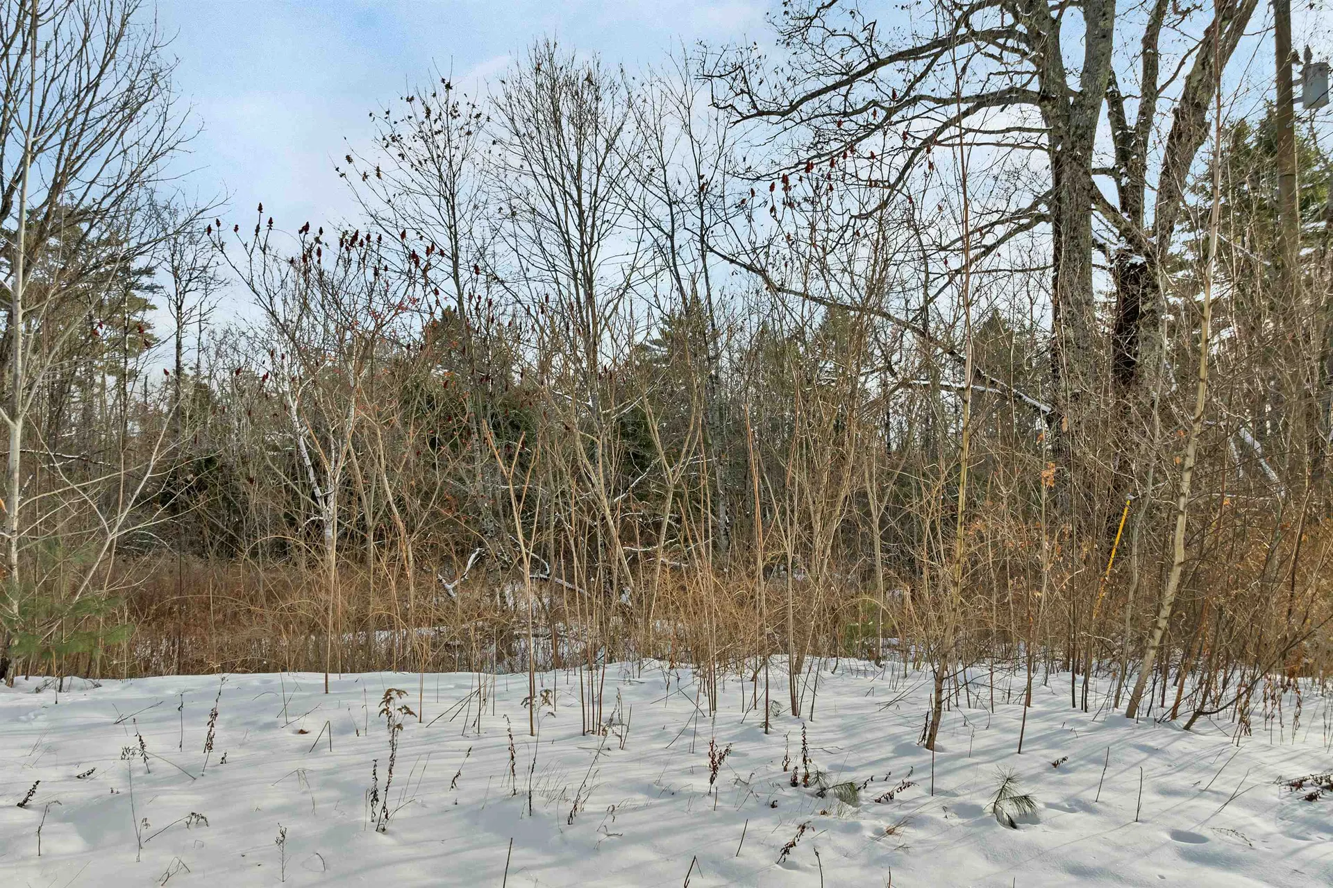 61 Freeman Hall Road Nottingham NH 03290