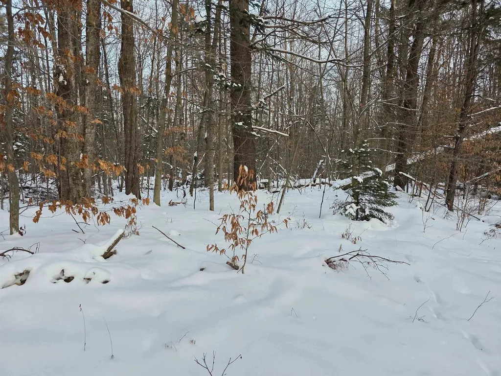 00 Fire Brook Road Ripton VT 05760