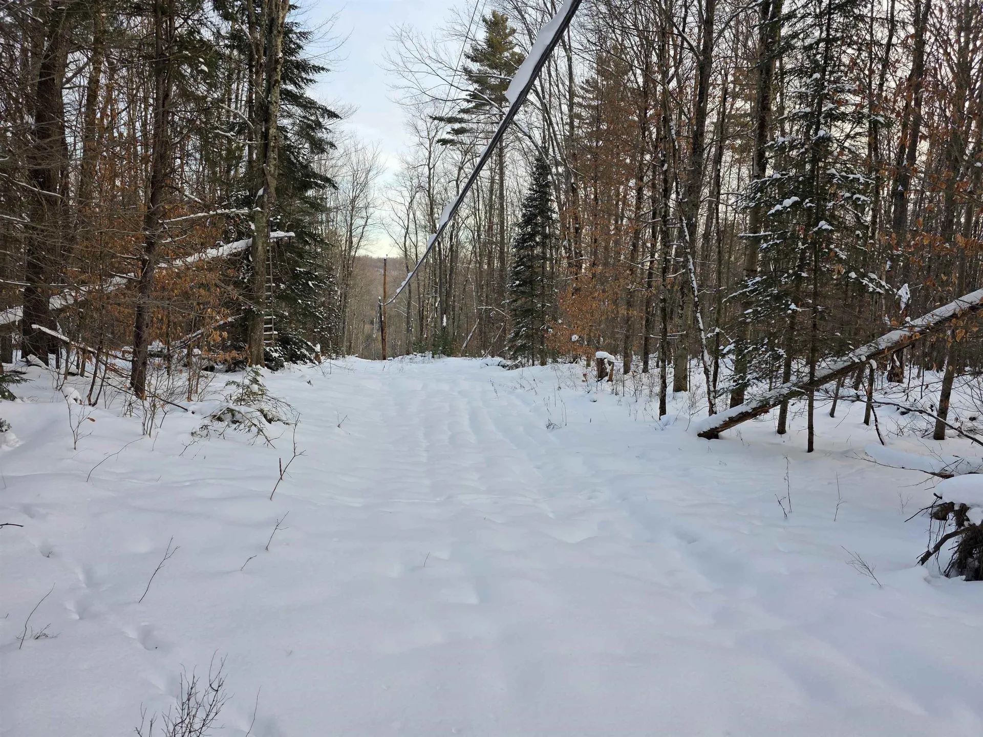 00 Fire Brook Road Ripton VT 05760