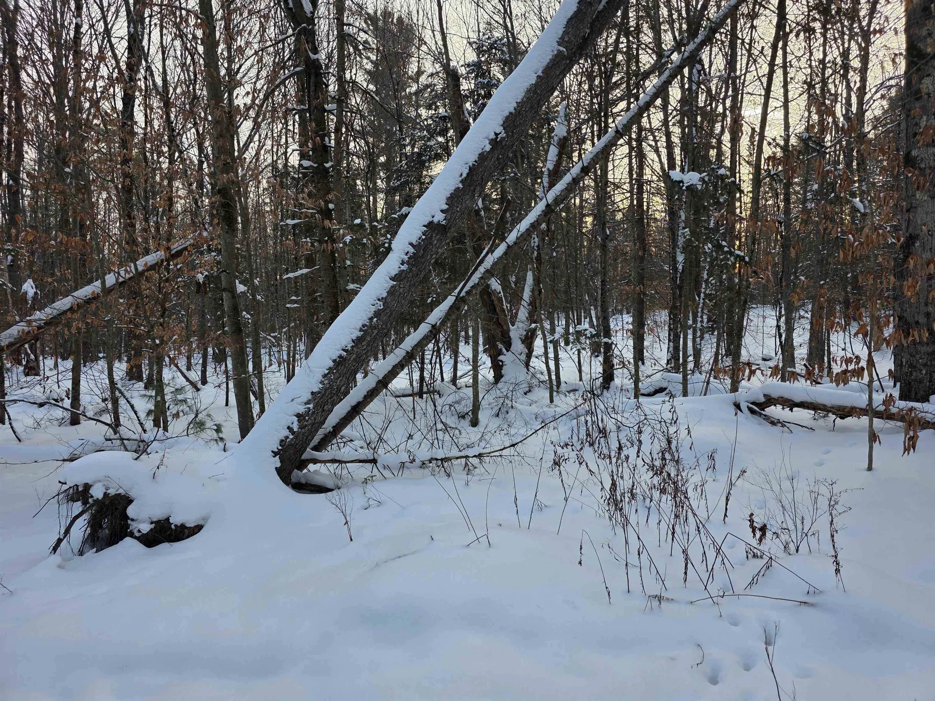 00 Fire Brook Road Ripton VT 05760