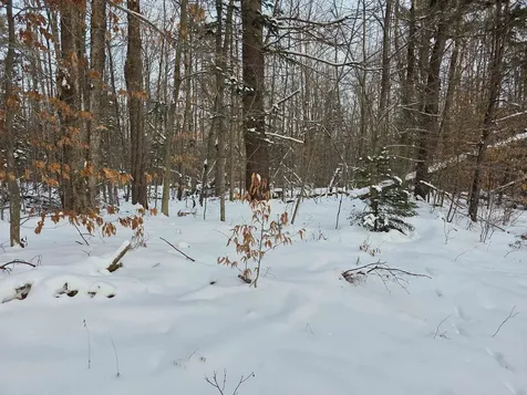 00 Fire Brook Road Ripton VT 05760