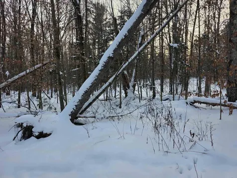 00 Fire Brook Road Ripton VT 05760