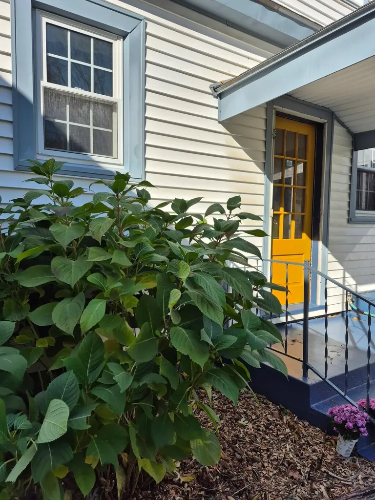 93 Russell Street Winooski VT 05404