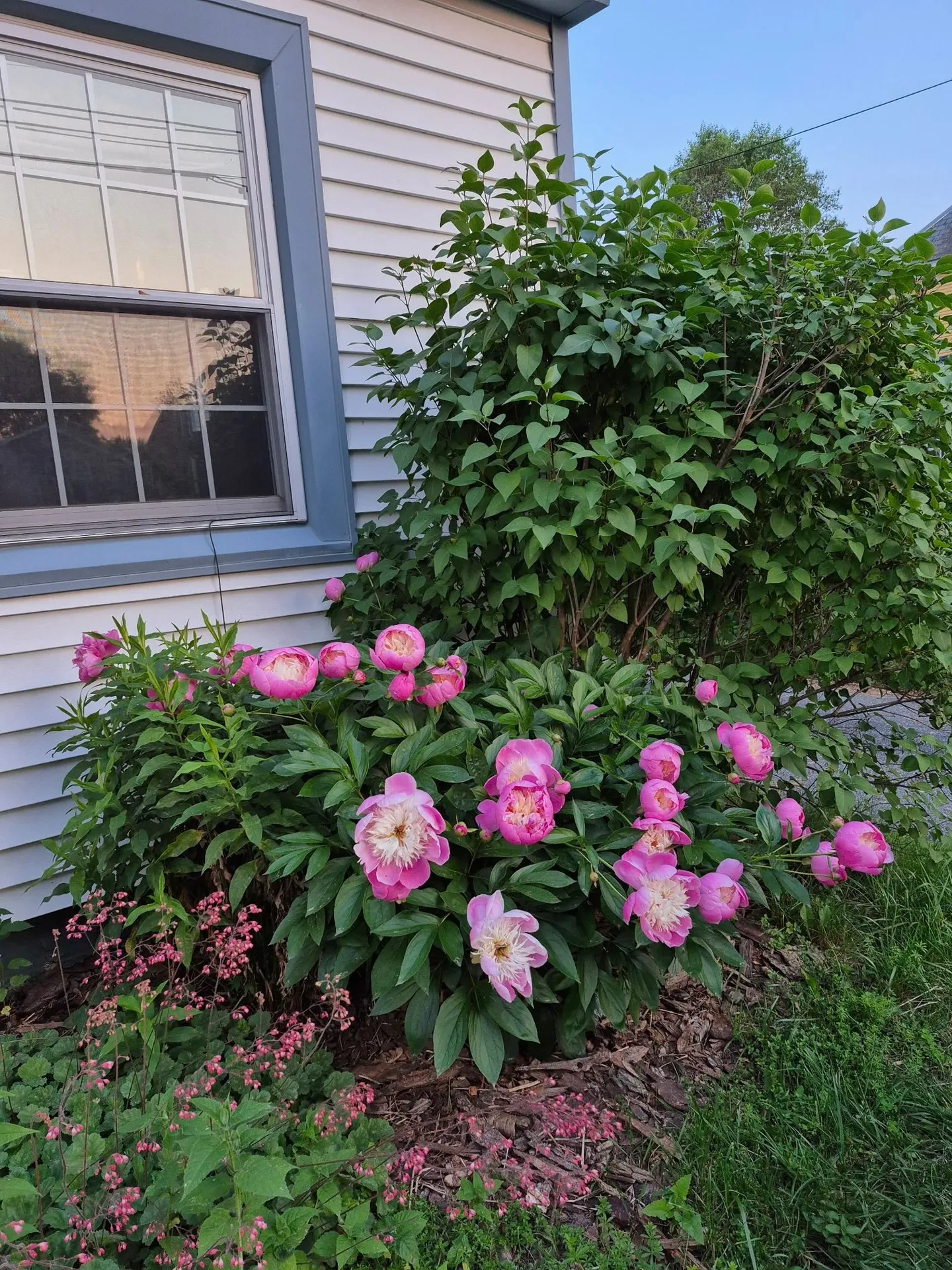 93 Russell Street Winooski VT 05404