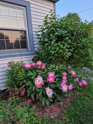 93 Russell Street Winooski VT 05404