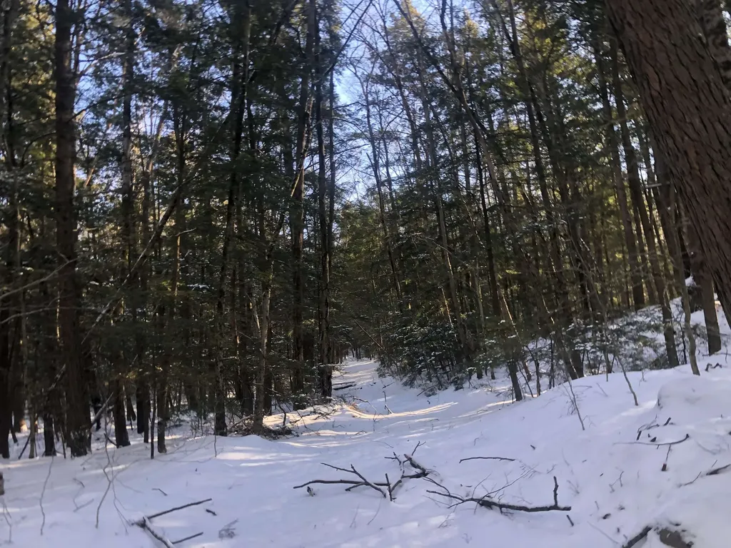 0 Chesterfield Road Keene NH 03431