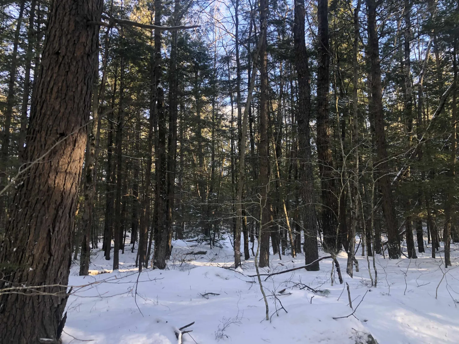 0 Chesterfield Road Keene NH 03431