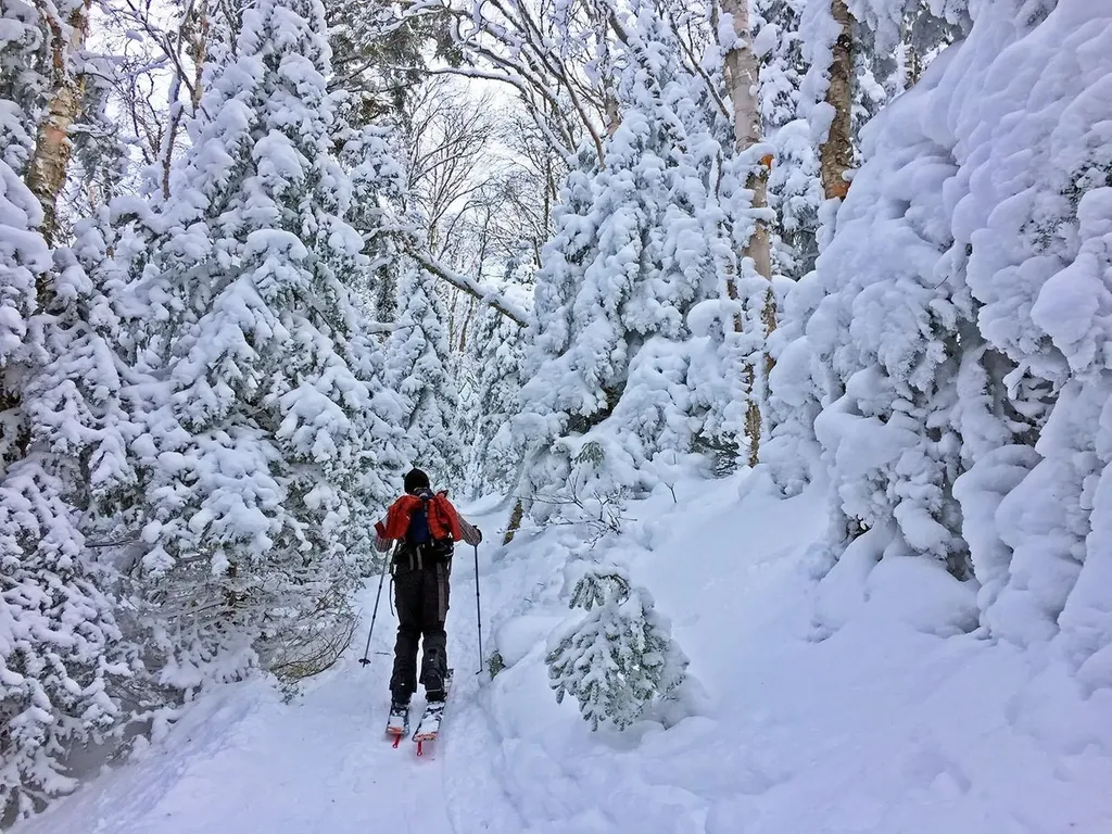 65-2 Clearbrook Road Lincoln NH 03251