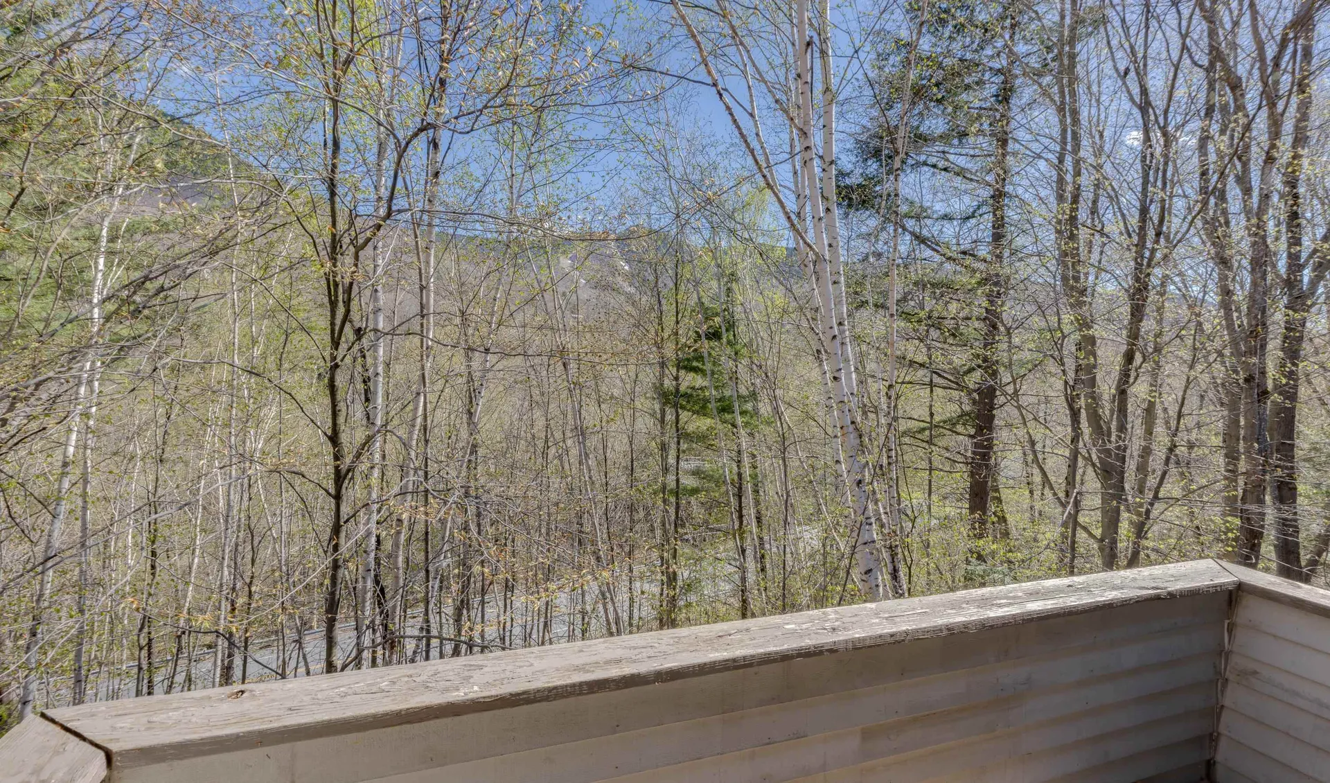 65-2 Clearbrook Road Lincoln NH 03251