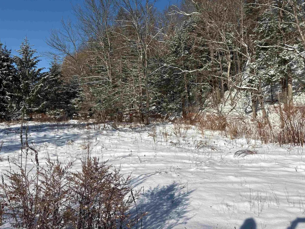 40 Fenton Road Chester VT 05143