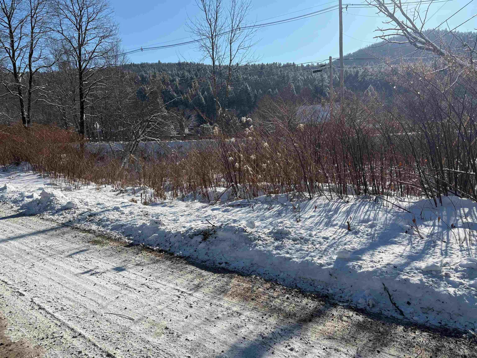 40 Fenton Road Chester VT 05143