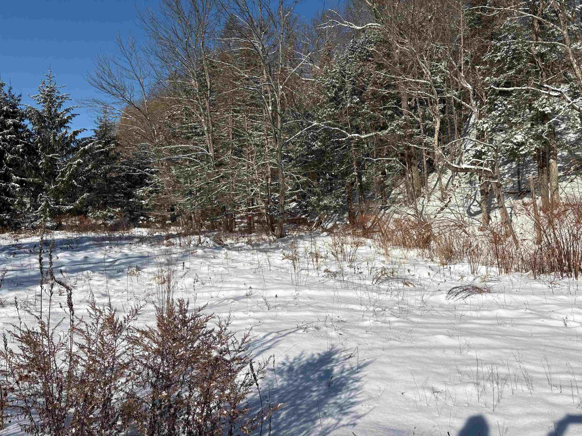 40 Fenton Road Chester VT 05143