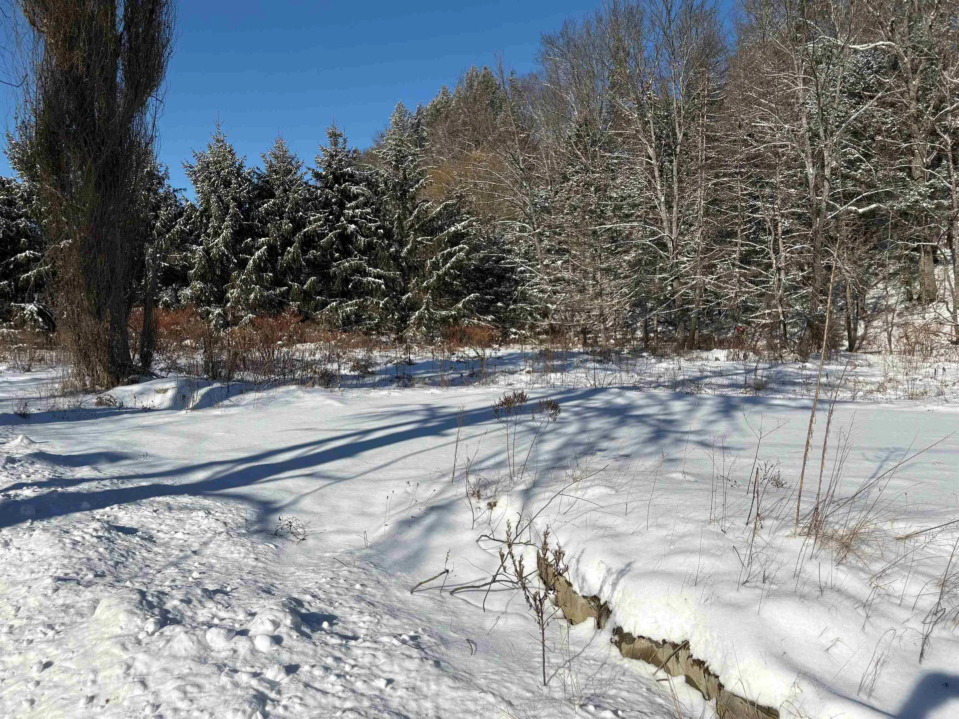 40 Fenton Road Chester VT 05143