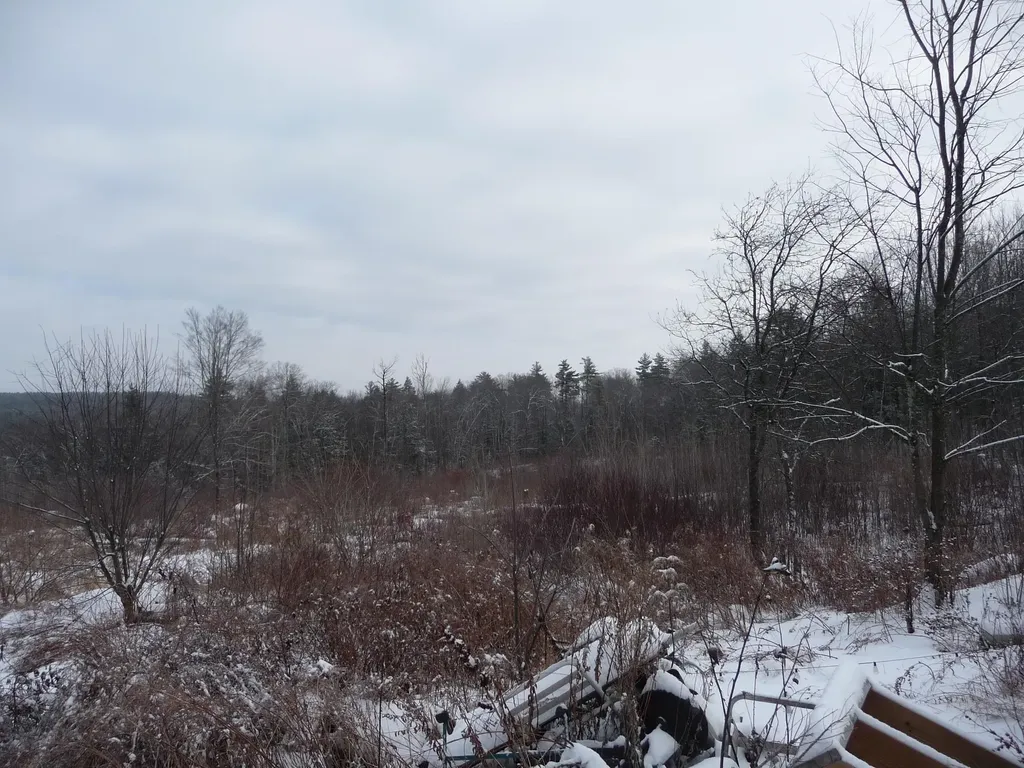 433 North Road Deering NH 03244