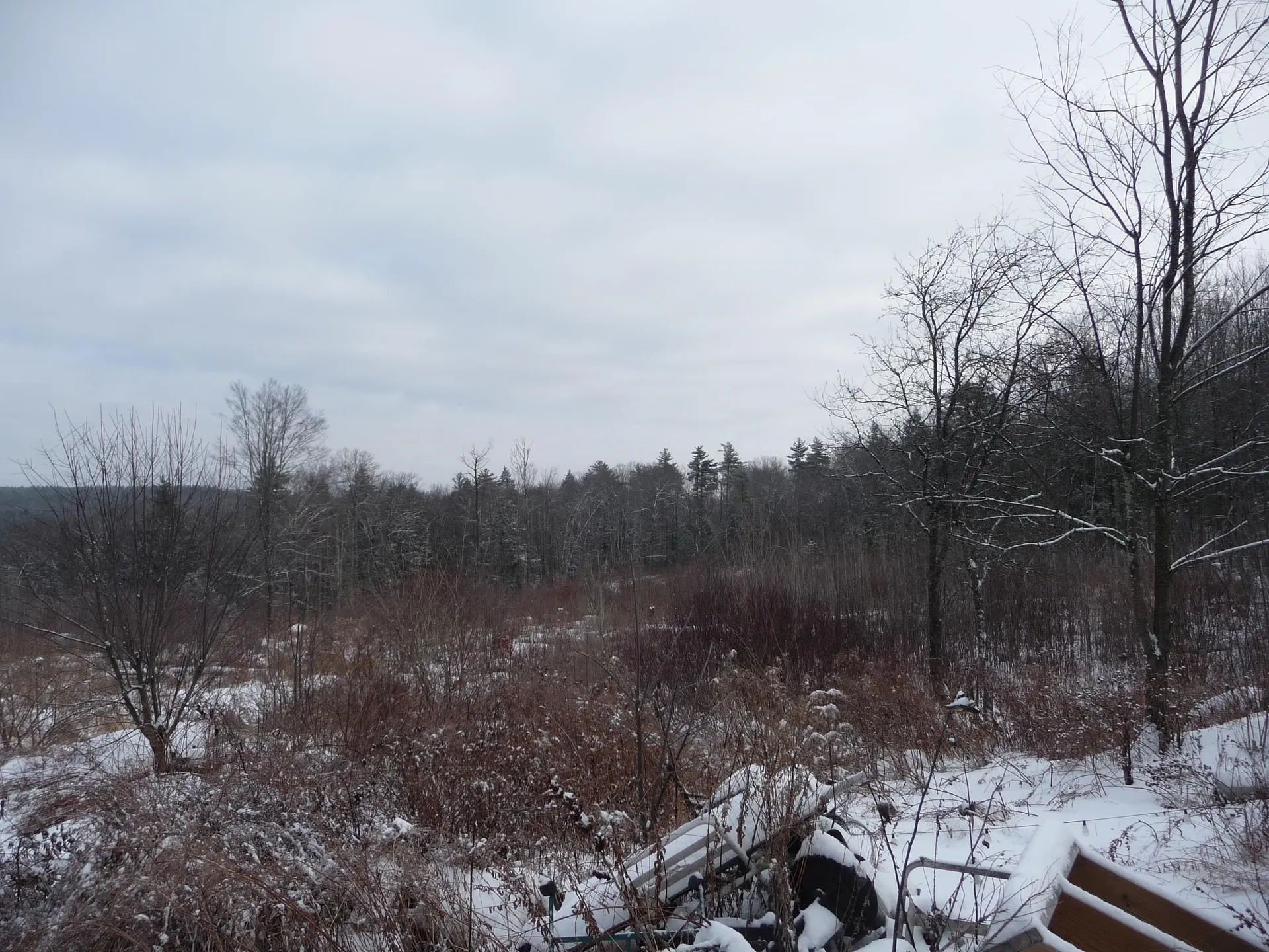 433 North Road Deering NH 03244