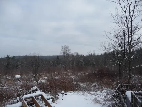 443 North Road Deering NH 03244