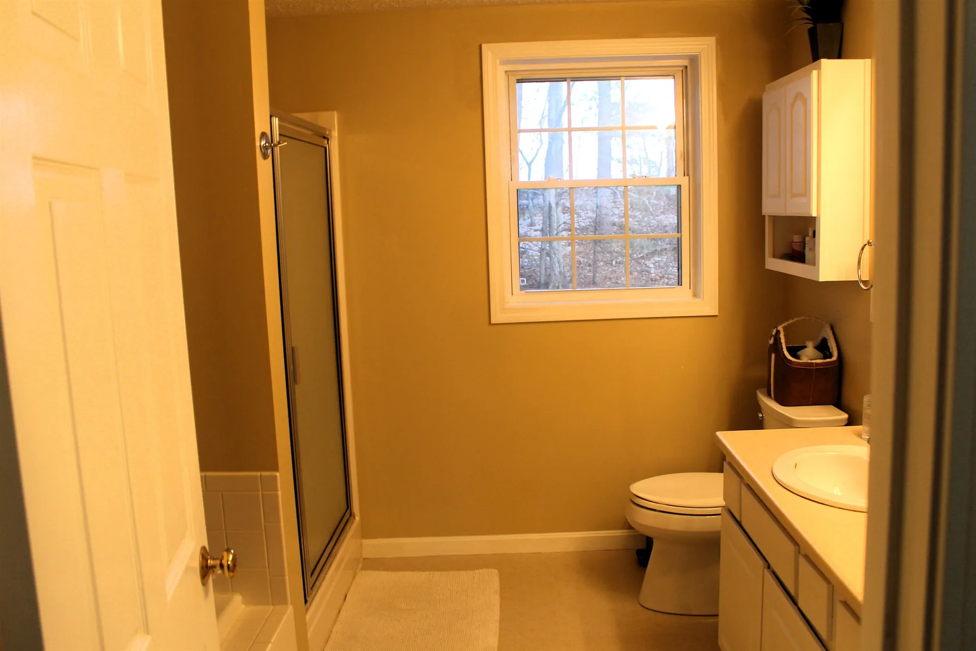 38 Georgetown Drive Nashua NH 03062