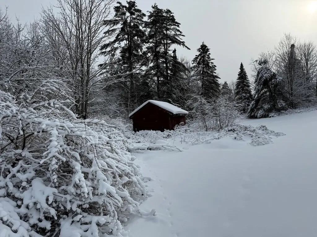 571 Bliss Road Woodbury VT 05681