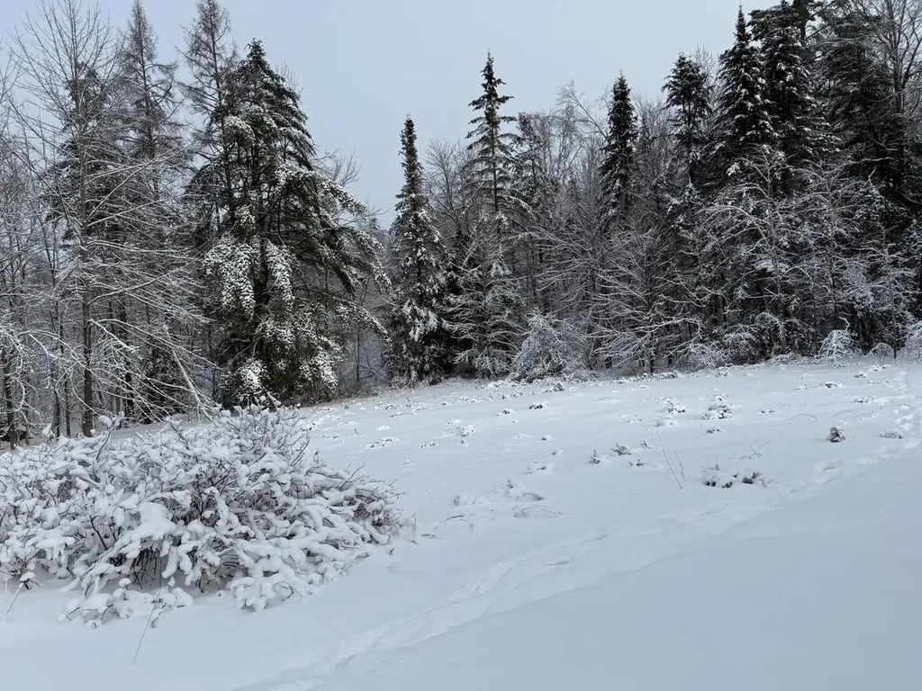 571 Bliss Road Woodbury VT 05681