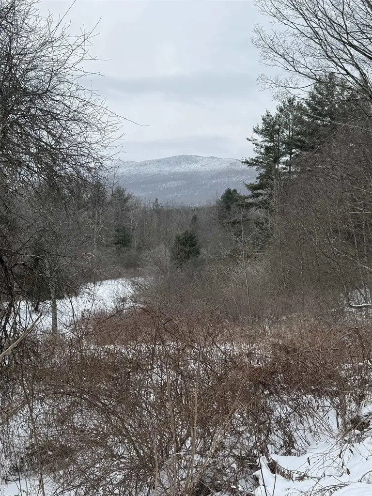 456 Kelleher Road Dorset VT 05251