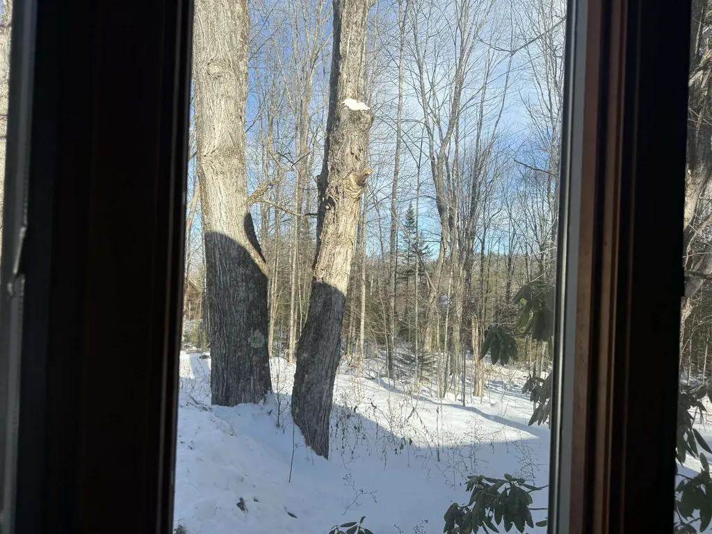 1529 Belmont Road Mount Holly VT 05730