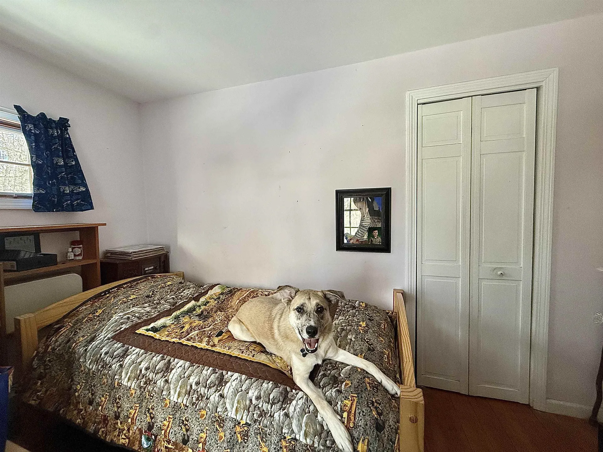 1529 Belmont Road Mount Holly VT 05730