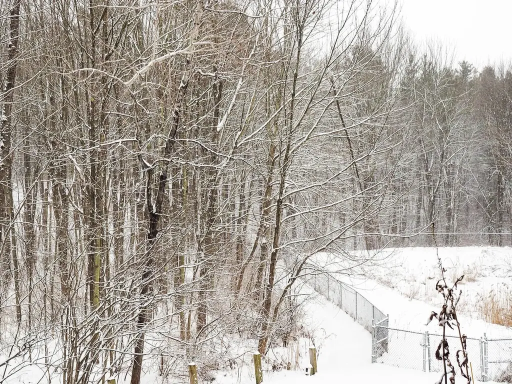 229 Juniper Drive South Burlington VT 05403