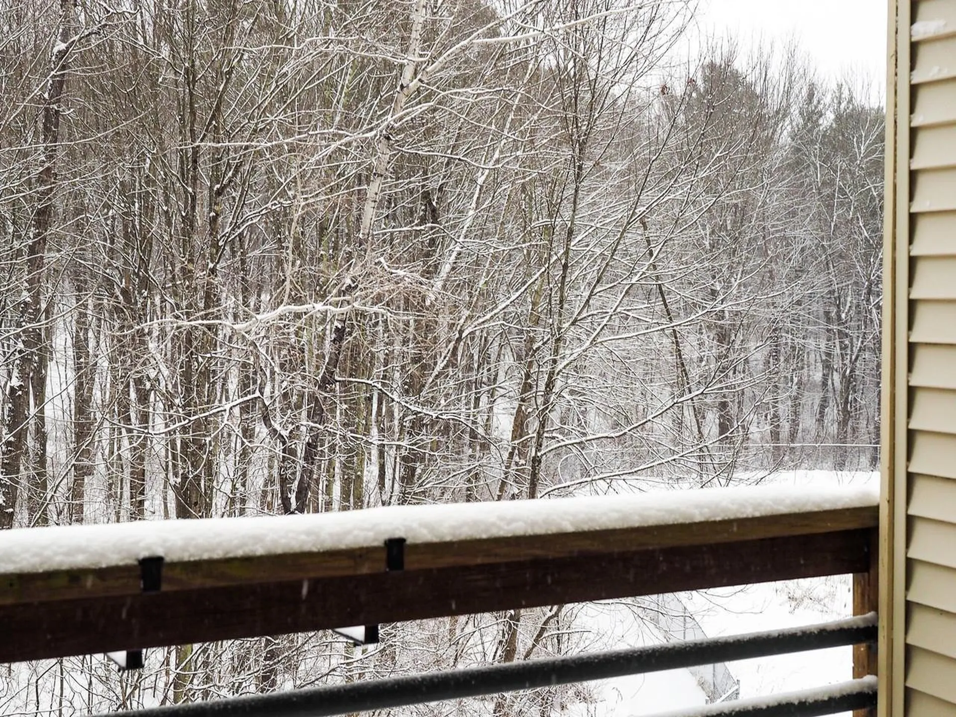 229 Juniper Drive South Burlington VT 05403