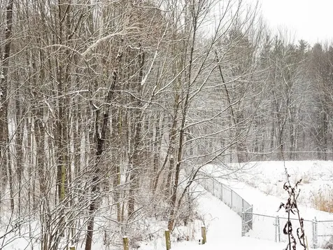 229 Juniper Drive South Burlington VT 05403