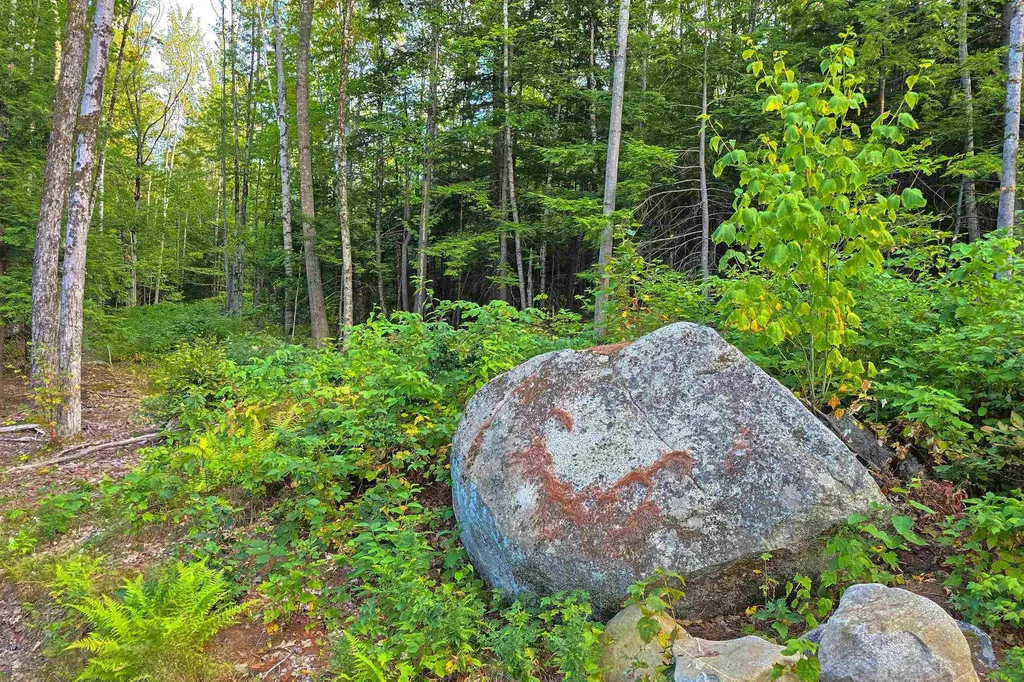 000 Page Hill Road Tamworth NH 03817