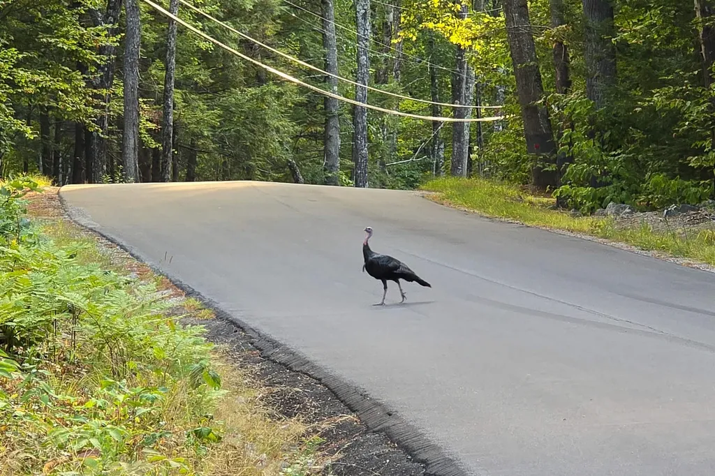 000 Page Hill Road Tamworth NH 03817