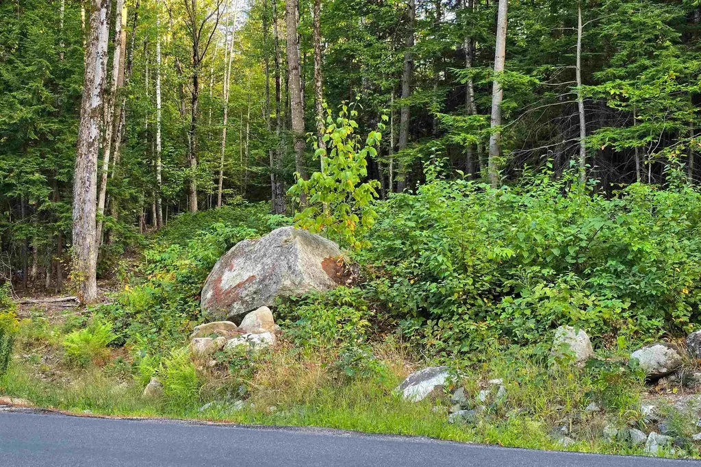 000 Page Hill Road Tamworth NH 03817