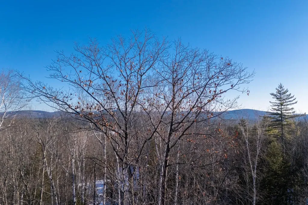 000 Page Hill Road Tamworth NH 03817