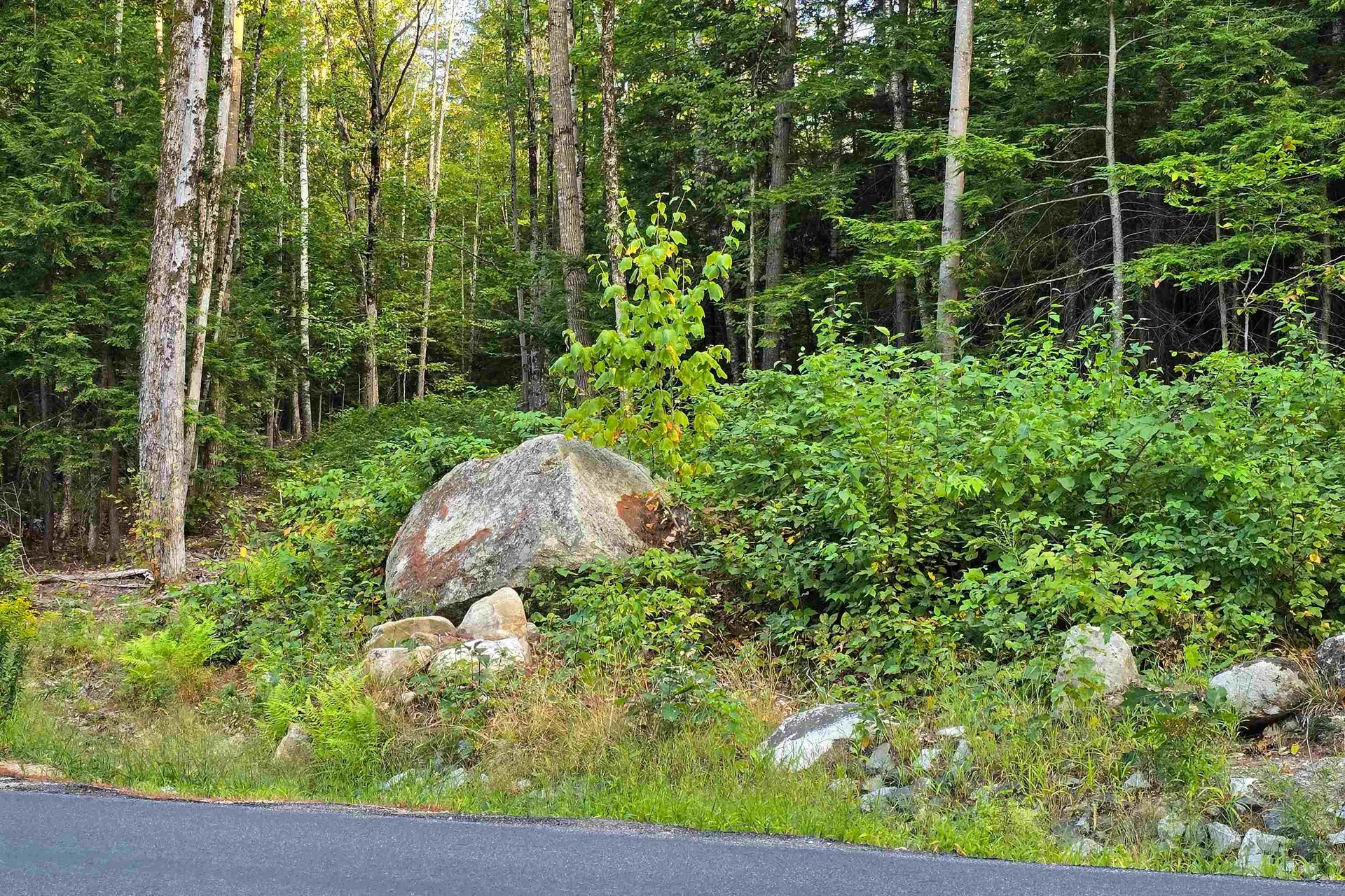 000 Page Hill Road Tamworth NH 03817