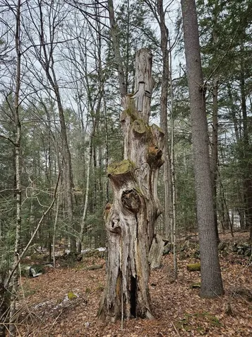 234 Old Cheshire Turnpike Walpole NH 03608