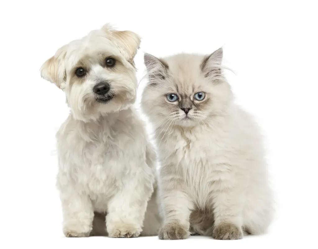 409 Elm Street Manchester NH 03101