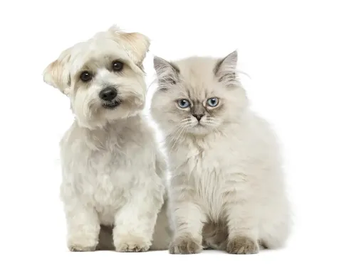 409 Elm Street Manchester NH 03101