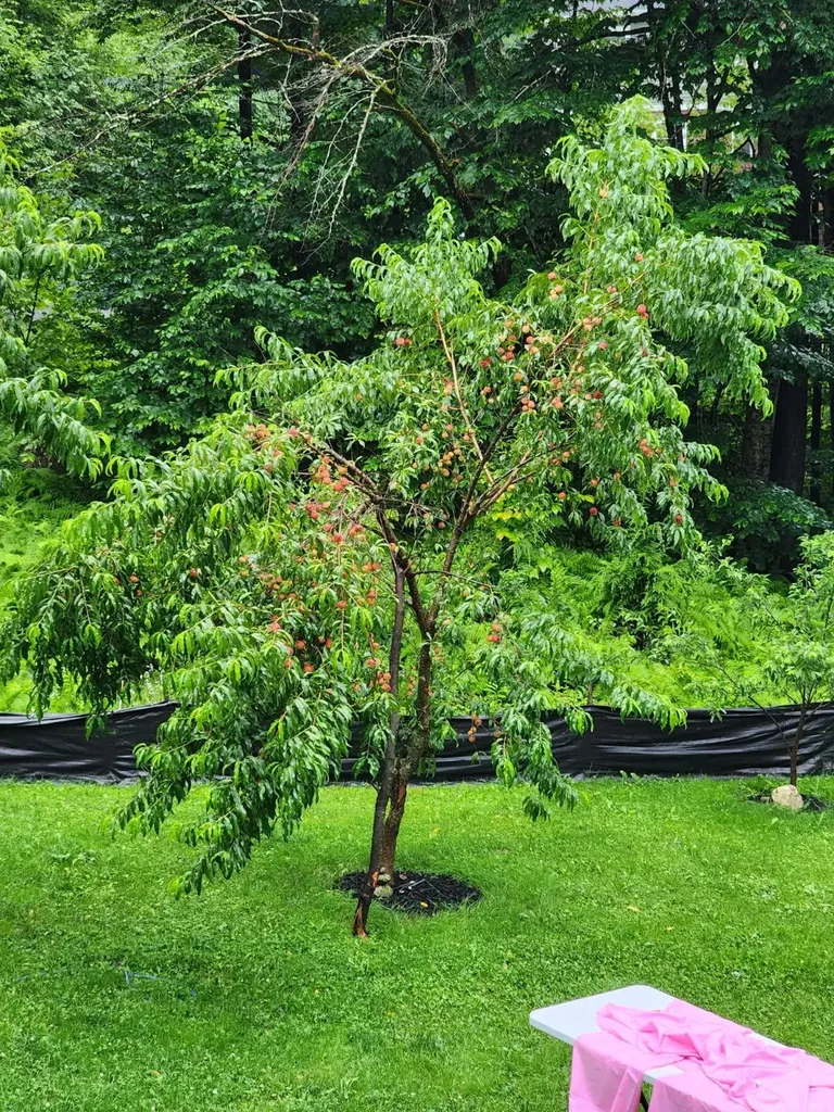 78 Pinebrook Road Waitsfield VT 05673