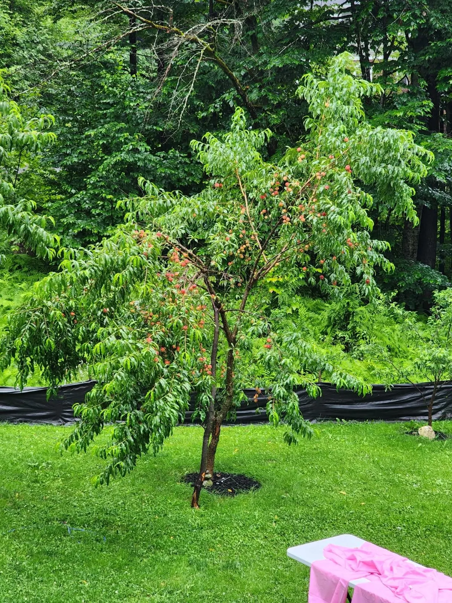 78 Pinebrook Road Waitsfield VT 05673