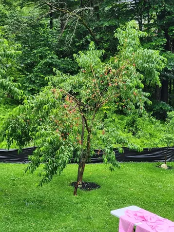 78 Pinebrook Road Waitsfield VT 05673