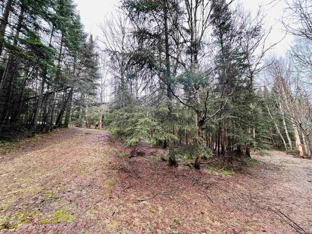 242 Noyes Road Stewartstown NH 03576