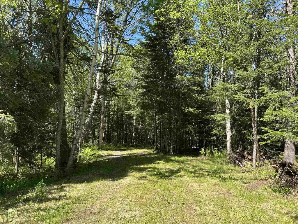 242 Noyes Road Stewartstown NH 03576