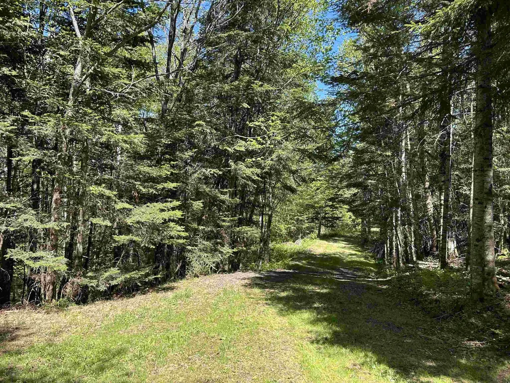 242 Noyes Road Stewartstown NH 03576