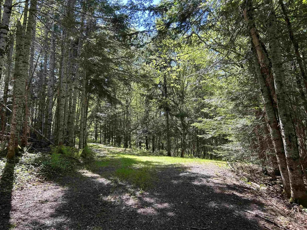 242 Noyes Road Stewartstown NH 03576