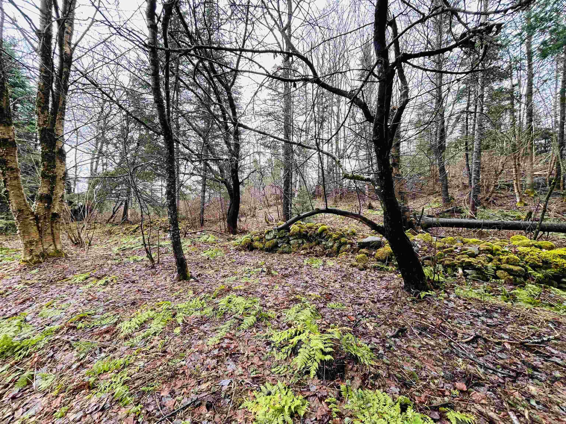 242 Noyes Road Stewartstown NH 03576