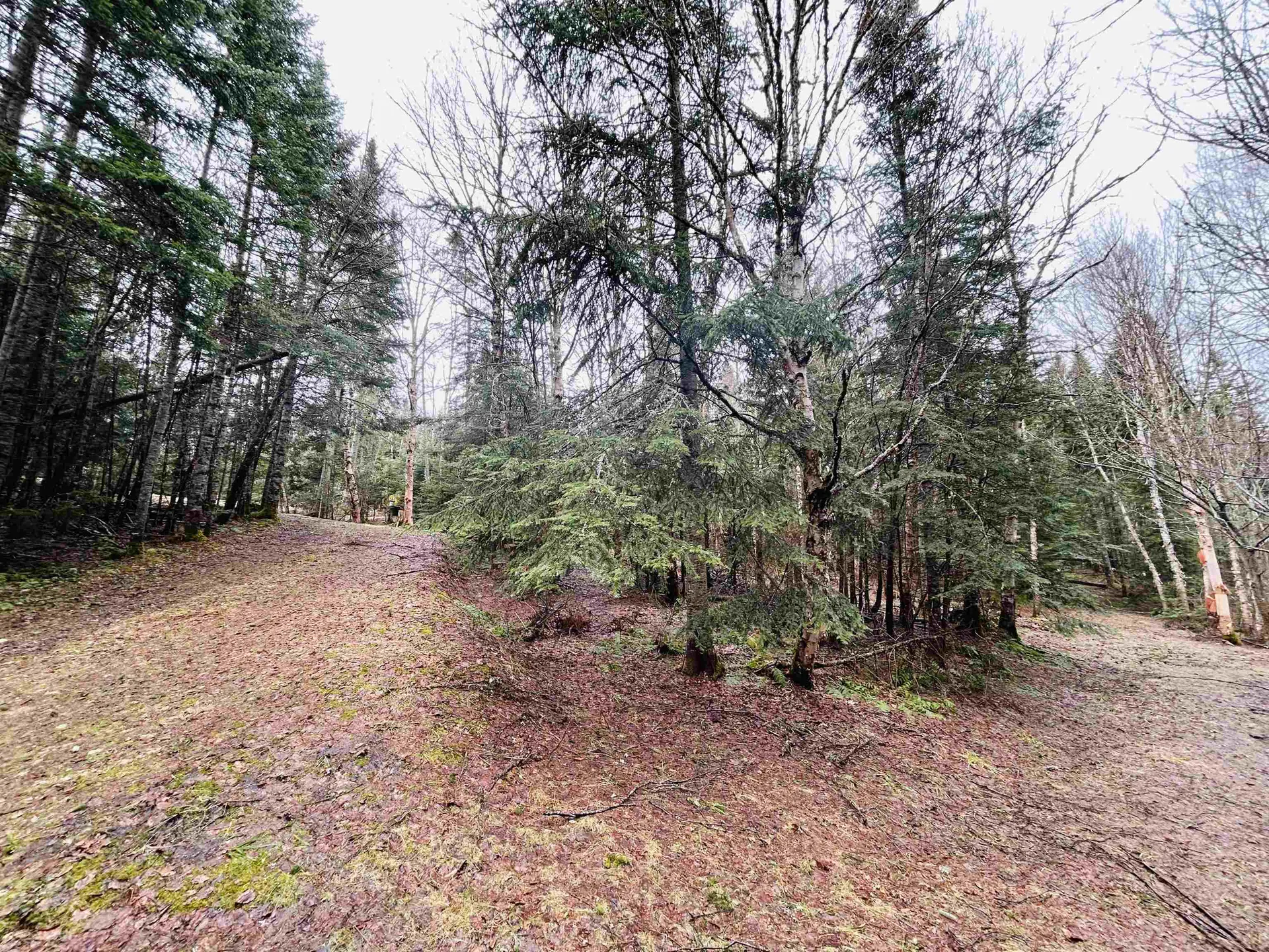 242 Noyes Road Stewartstown NH 03576