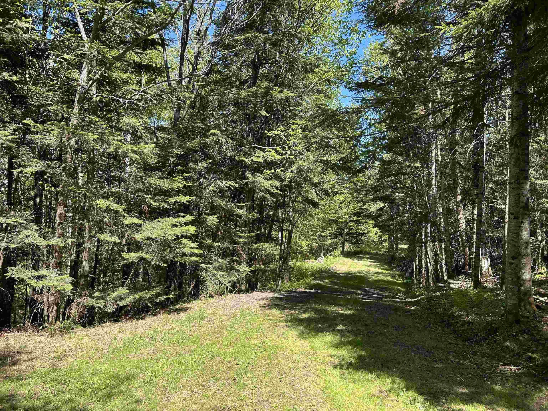 242 Noyes Road Stewartstown NH 03576