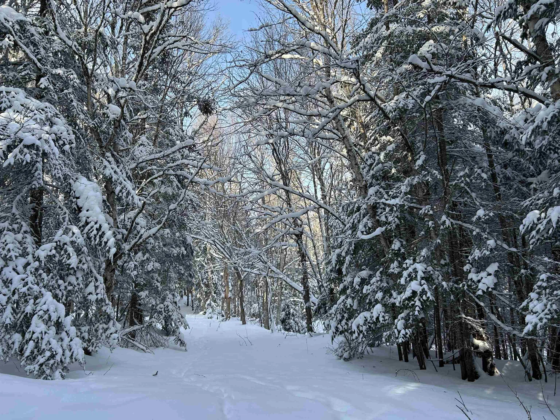 242 Noyes Road Stewartstown NH 03576