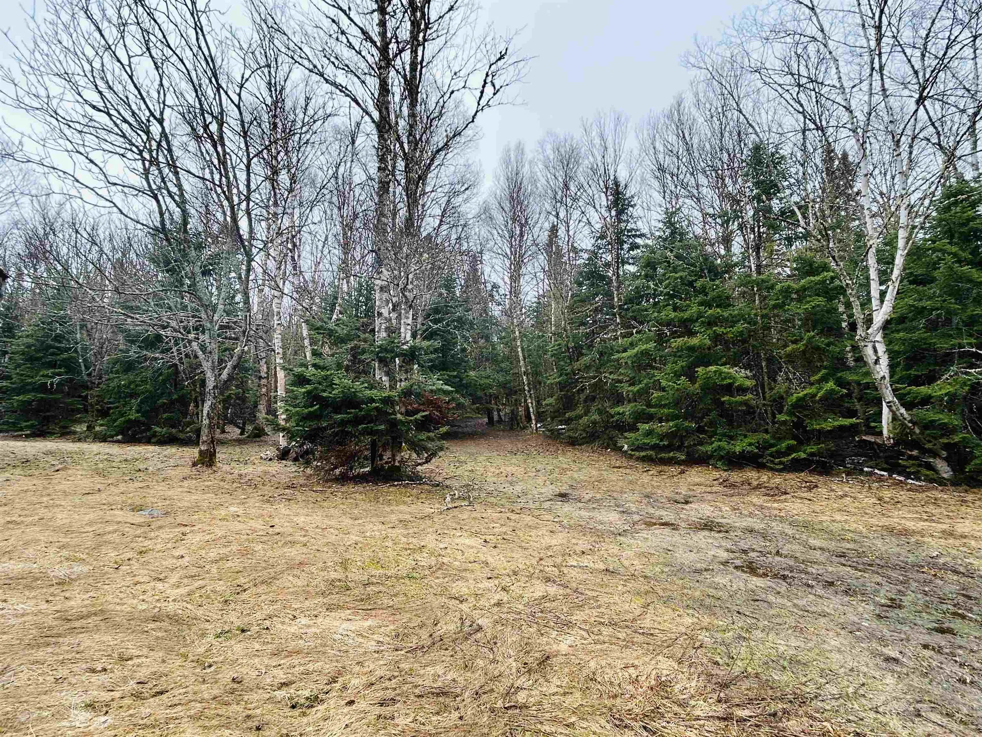 242 Noyes Road Stewartstown NH 03576